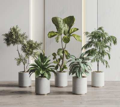 现代植物盆栽组合3D模型下载